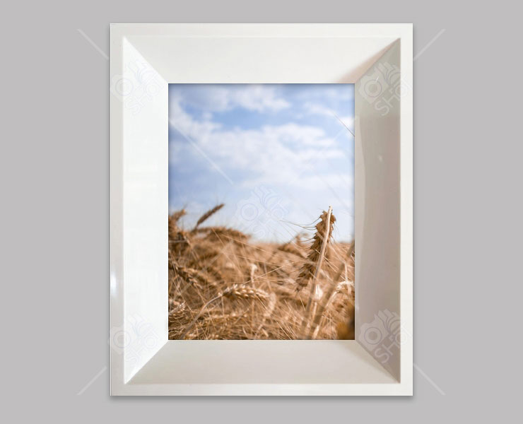 قاب عکس 20x30 ایرانا 3